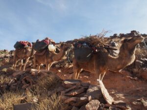 Erg Chegaga desert in Two days one night from Zagora