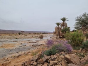 5 Days Camel Trekking - Morocco Sahara Desert Adventure