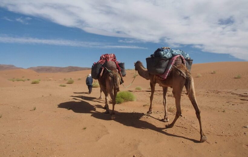 6 Days Camel Trek Zagora Sahara Desert Nomadic Adventure